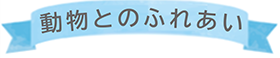 動物とのふれあいリボン